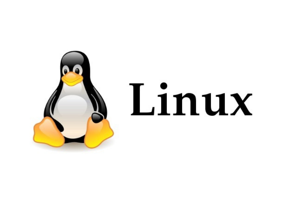 A Linux command a day (1): ls command